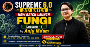 new_batch _launch_1_supreme -6