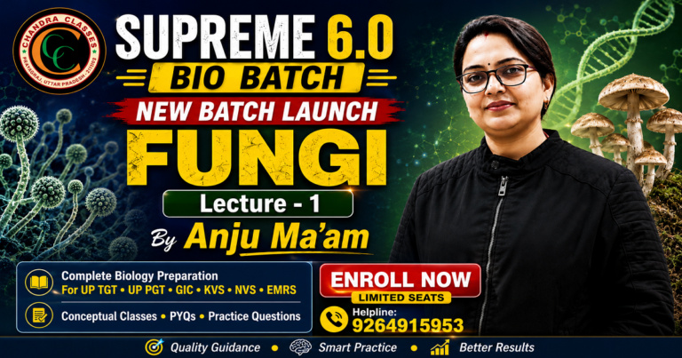 new_batch _launch_1_supreme -6